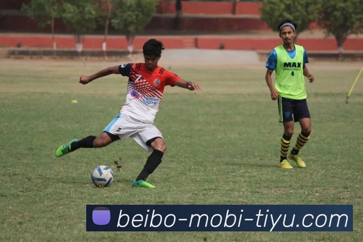 多媒体互动体验