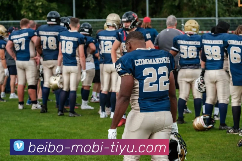 贝博体育APP 体育赛事宣传图